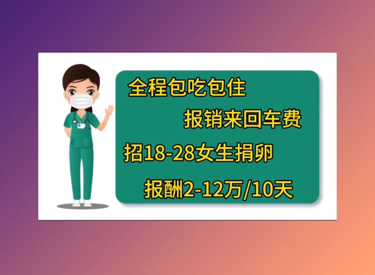 供卵公司机构囊胚的成功率多少